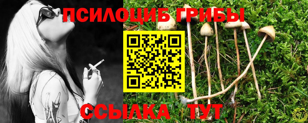 Галлюциногенные грибы мухоморы Осинники